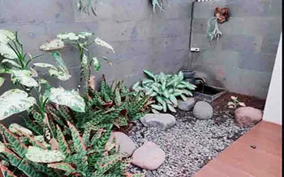 Cottage Standar ciwidey valley resort