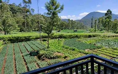 liz tower hotel 13 ciwidey valley resort