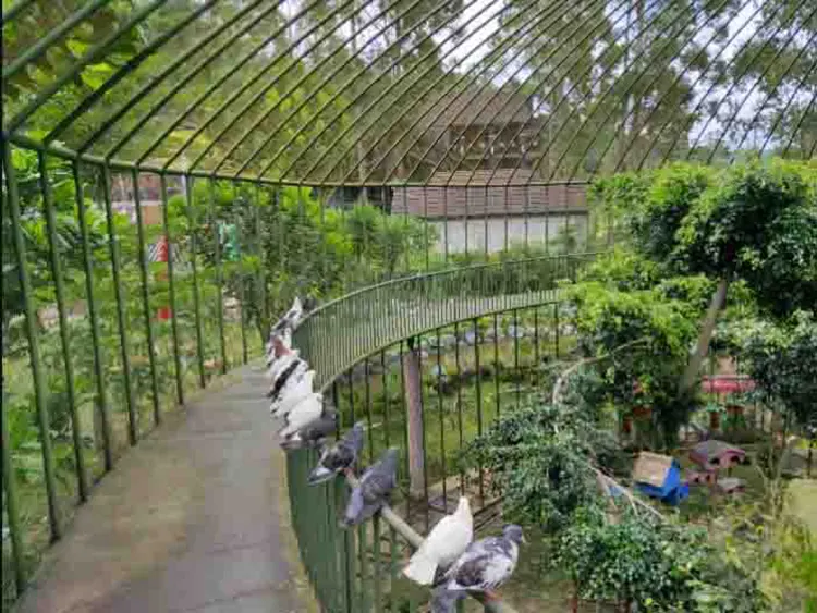 Ciwidey Valley Resort