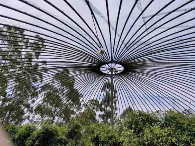 Ciwidey Valley Resort