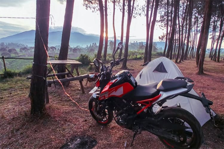 datar pinus camp