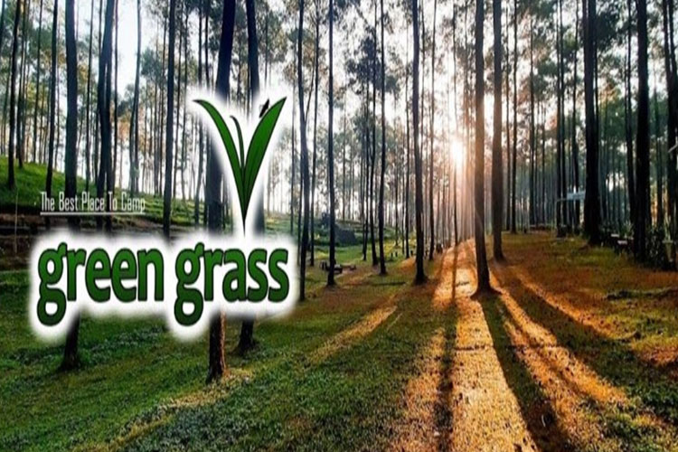 Green Grass Cikole Lembang
