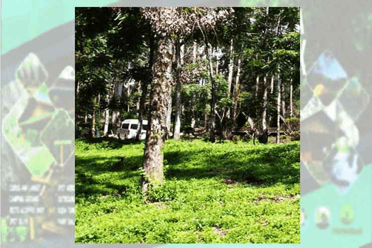 alamendah arboretum park