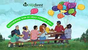 Hejo forest