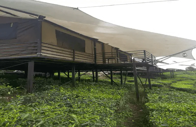 family tent glamping lakeside rancabali
