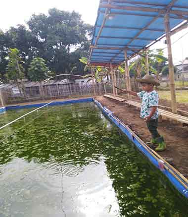 cabin imah putih gunung puntang